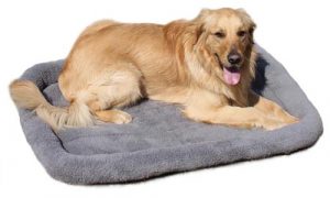 dog bed for crate UK
